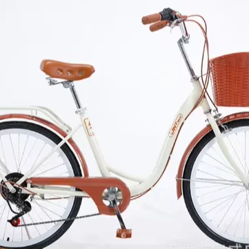 Urban commuting leisure bicycles are suitable for students to go to school and work