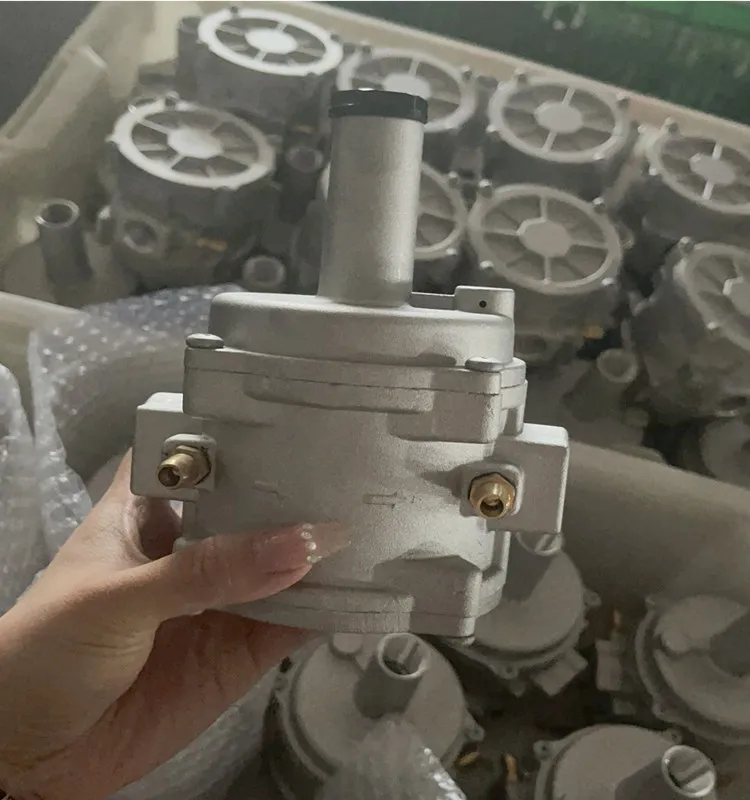 New Arrival Gas Regulator Aluminum 1bar Cheap Wall-hung boiler Gas Pressure Regulator  Natrual Gas Hardware Tools