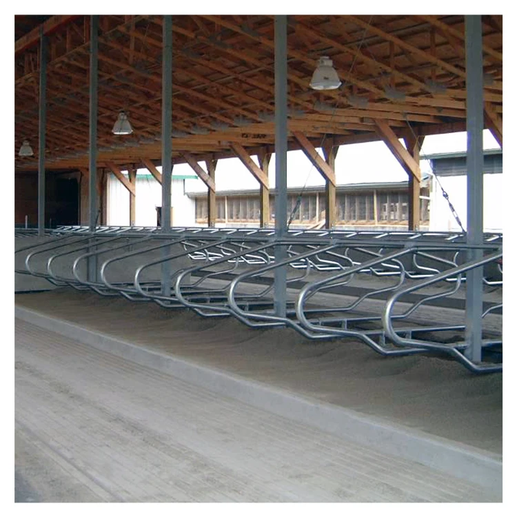 Galvanized panels cubicle cow free stall for dairy farm equipment