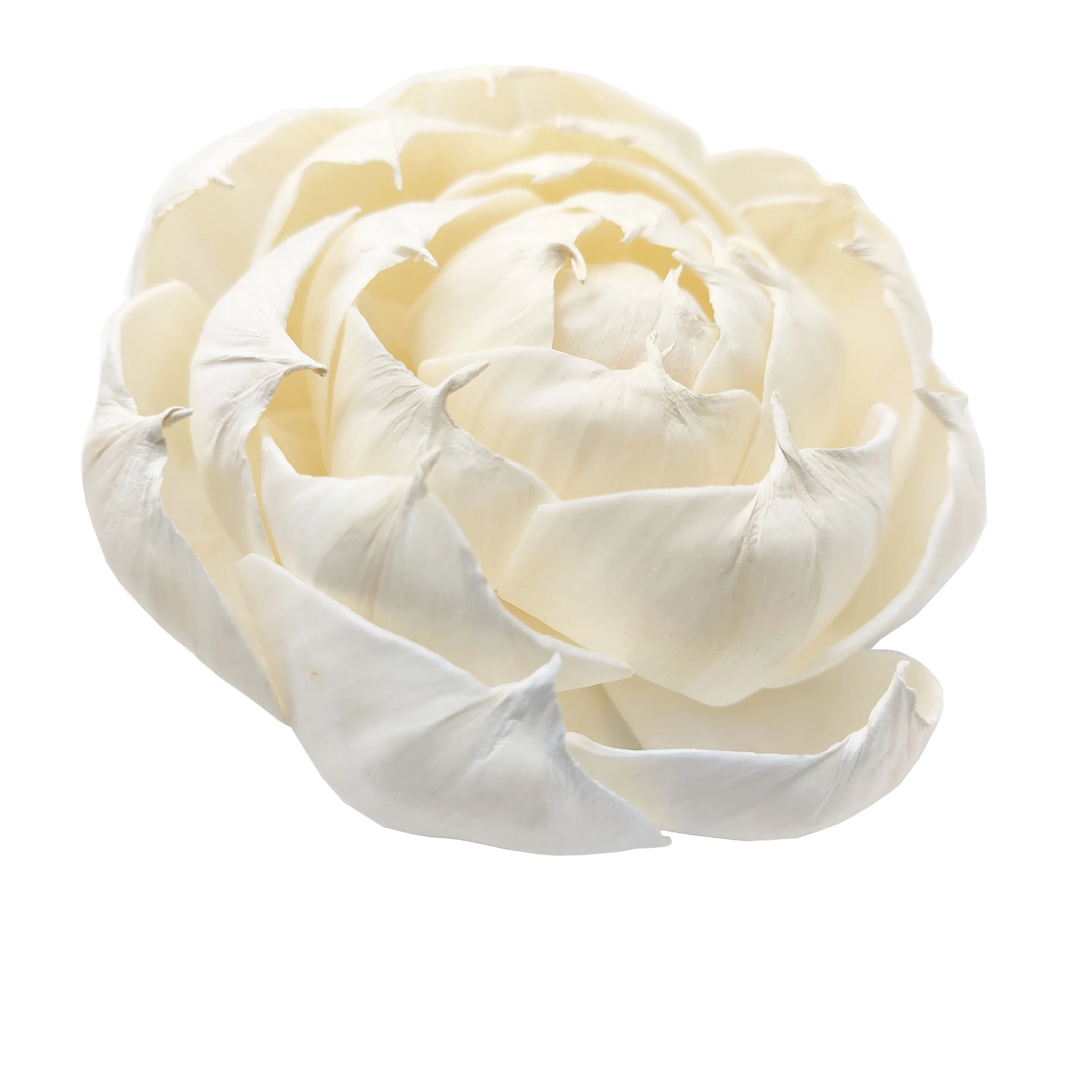 Высококачественный тростниковый диффузор цветок с хлопковой веревкой 11 см большой натуральный белый Сола деревянный