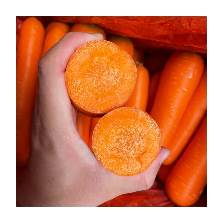 Organic Fresh Carrots From China Packed in Carton Export Wholesale Price High Quality Bulk