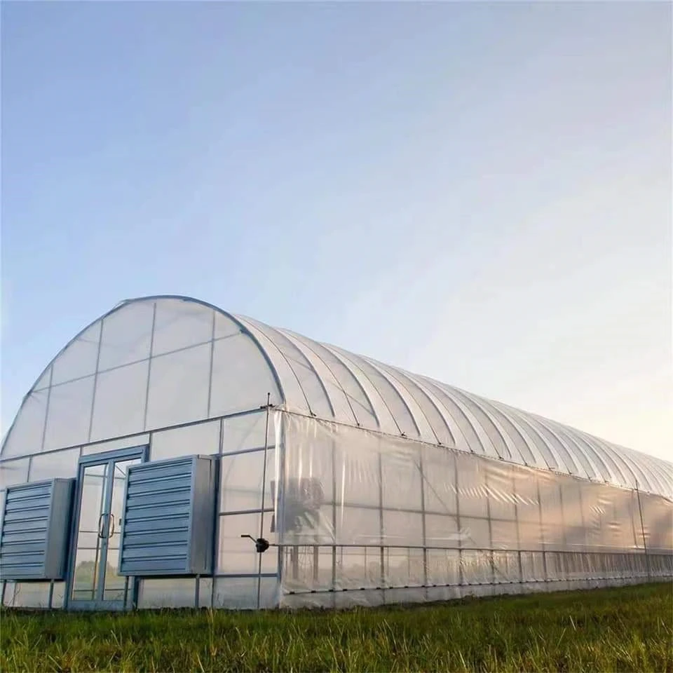 High Quality Cooling System Greenhouse Complete Set Design China Wholesale Commercial Greenhouse for Snail Farming