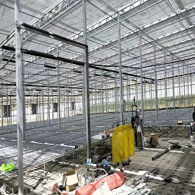  Большой размер многопролетная стеклянная теплица venlo томатная и Клубничная проект под
