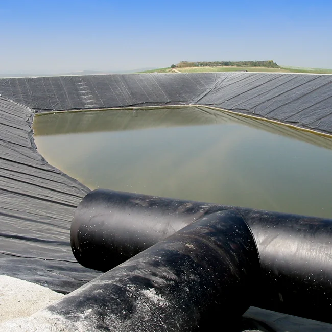 High quality 0.75mm Pond Geomembrane Hdpe Plastic Fish Ponds made in China