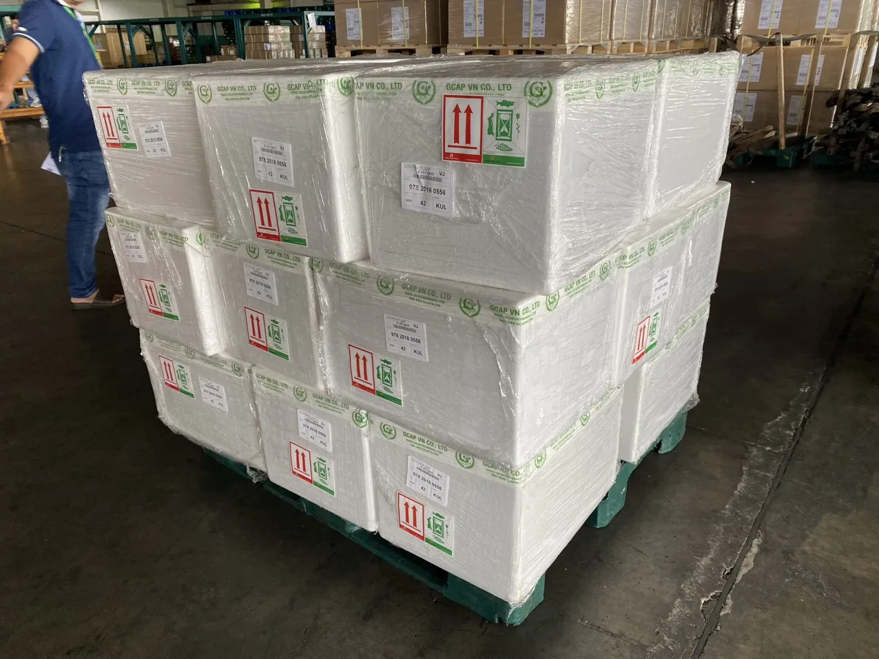 Organic Halal Sea Grapes (Umibudo) Dehydrated Seaweed from Viet Nam GCAP VN Manufacturer OEM Factory Brand Salt Preservation