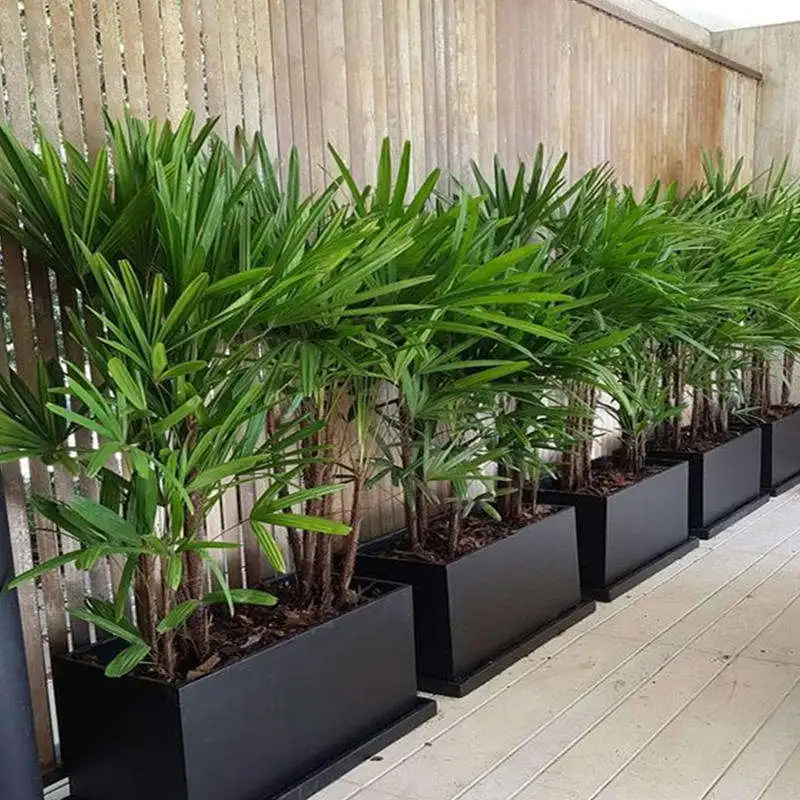 large planters for outdoor plants, fiberglass planters large outdoor, planters large outdoor