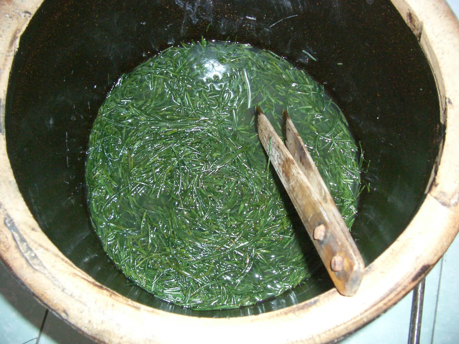 Live bacteria powder milk alcohol beauty food supplements healthcare