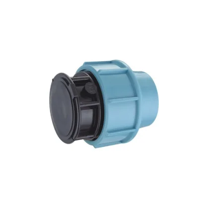 China Factory Plastic PP Plug Fitting PP Compression Fittings End Cap