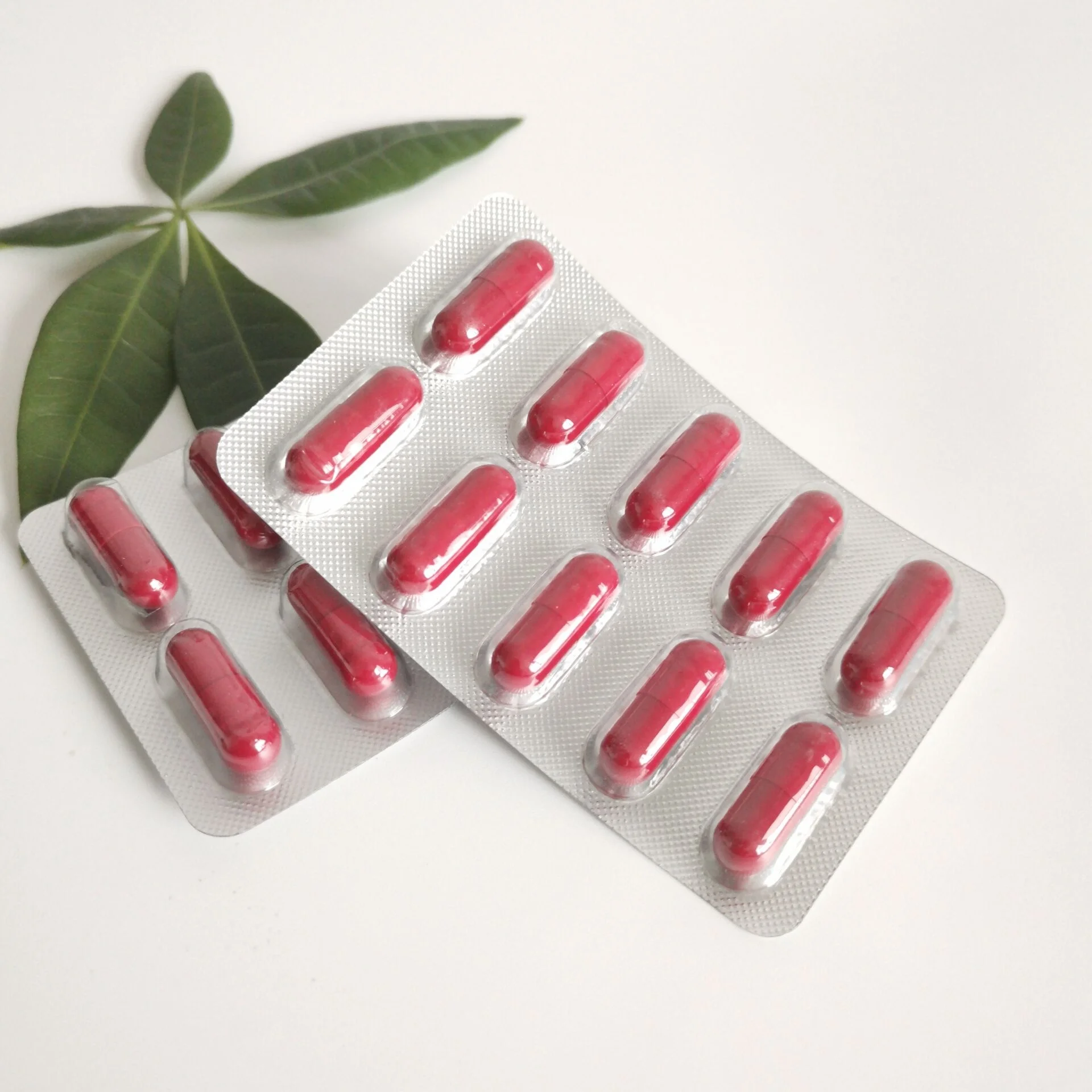 Blister Package Herbal Supplement Horny Goat Weed Epimedium Capsules For Men Health