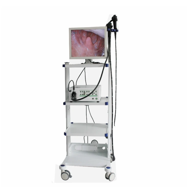 Flexible Video Veterinary Gastrointestinal Endoscope Medical Video Gastroscope Colonoscope