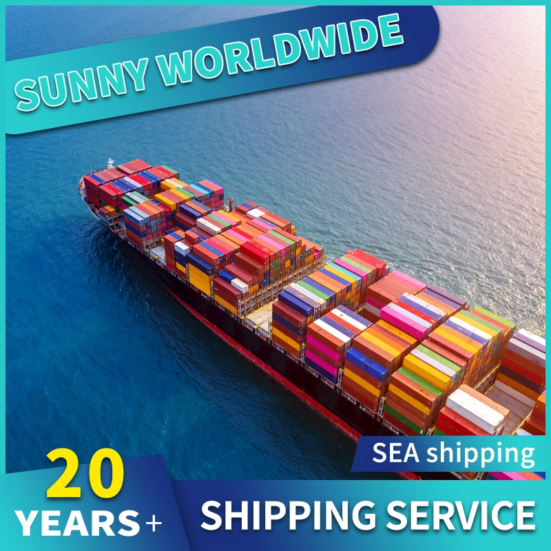 Professional freight forwarder sea shipping from china to Miami