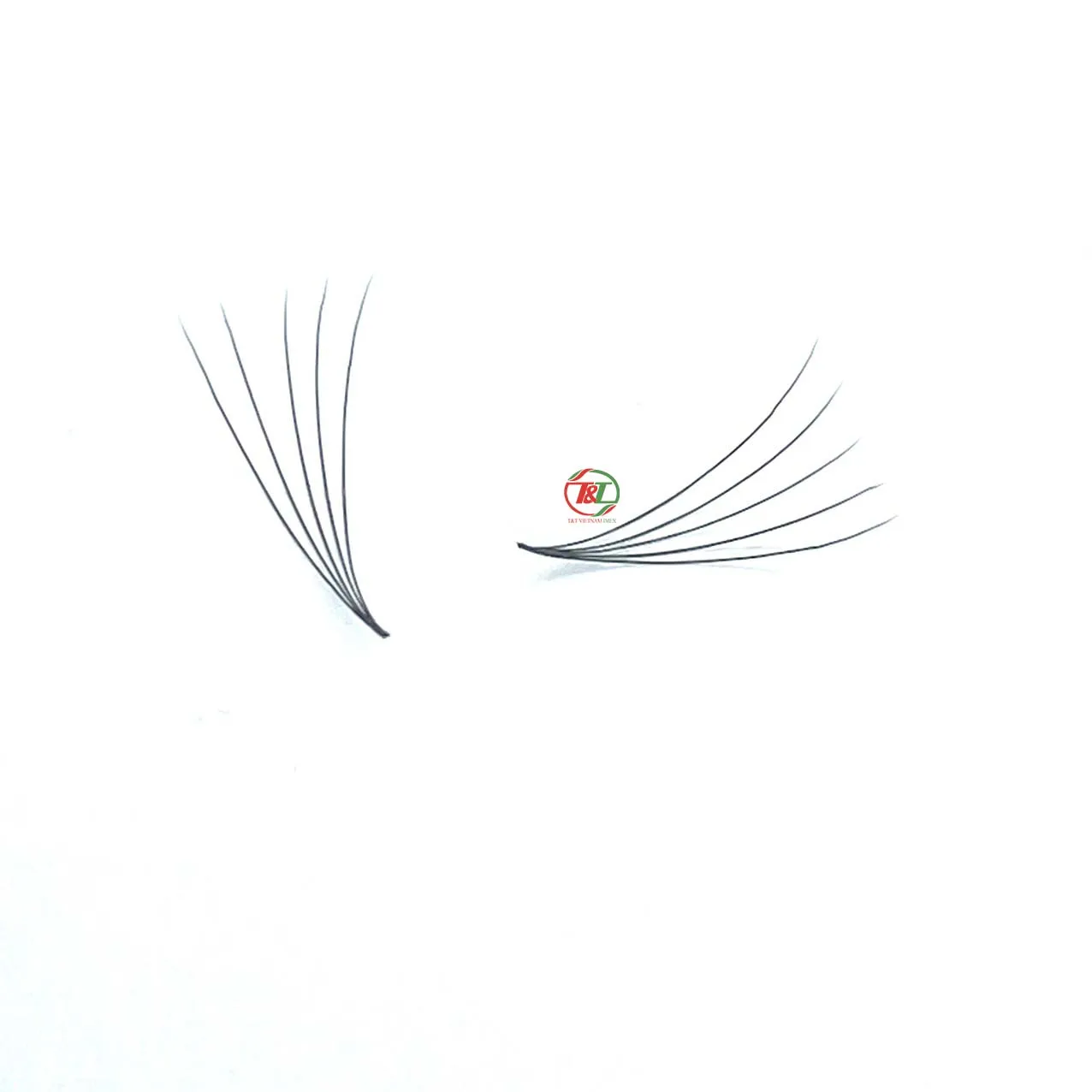 Vietnam factory wholesale good high quality false loose eyelash extensions professional