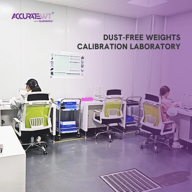 OIML стандарт 1 мг-2 кг набор весов для лаборатории калибровочные весы комплект калибровки веса