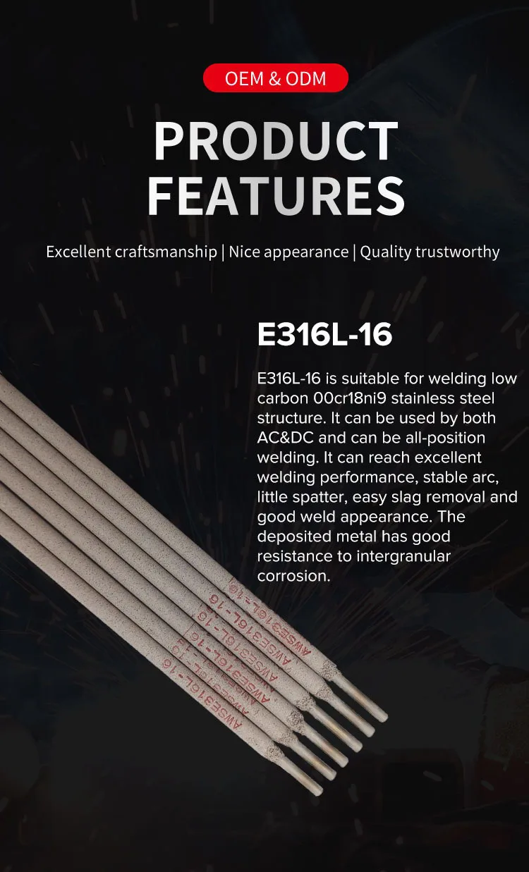 E316L-16