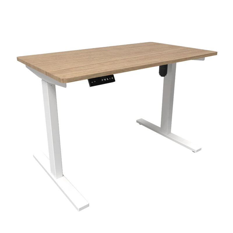 Popular Economic Mental Desk Frame Single Motor Height Adjustable Motorized Ergonomic Electric Smart Lifting Desk