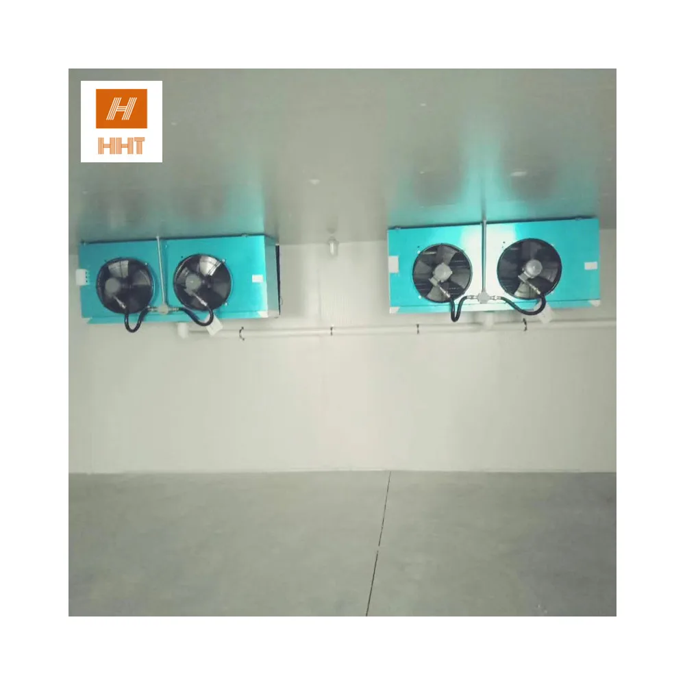 Портативная камера для прогулок frezzer colroom для продажи в Эфиопии