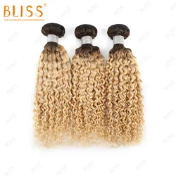 Bliss Blonde 1b613 Hair Bundles Vendor Kinky Curly Mongolian Weave Double Weft Vietnamese Hair Bundle