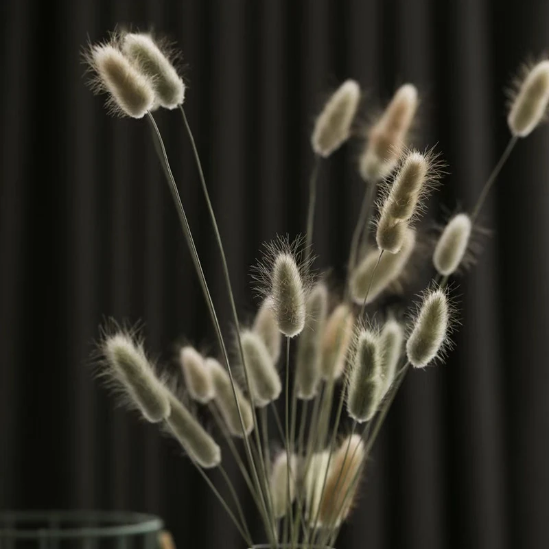 
Wholesale high quality Bunny Tails Dried Rabbit tails Natural Dried Bouquet Flower Dog Tail Grass Dried sage grass Flower 