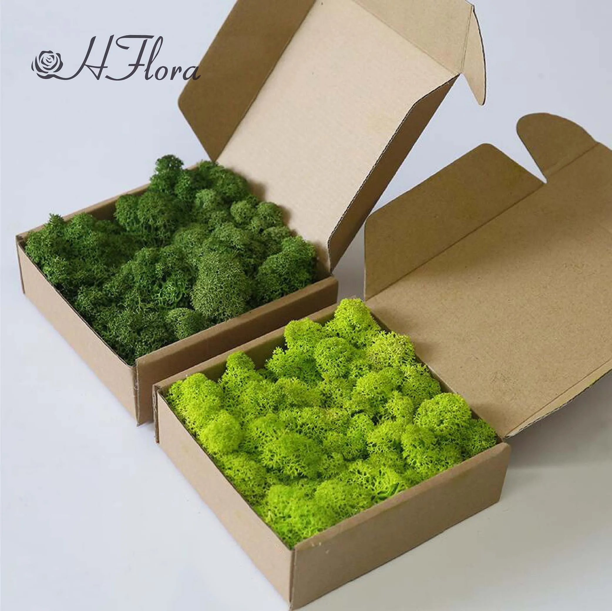 HFloral Hot Sell 200g/box decorative natural preserved Reindeer Core Moss For Fairy Gardens Terrariums Craft Floral Project Wed