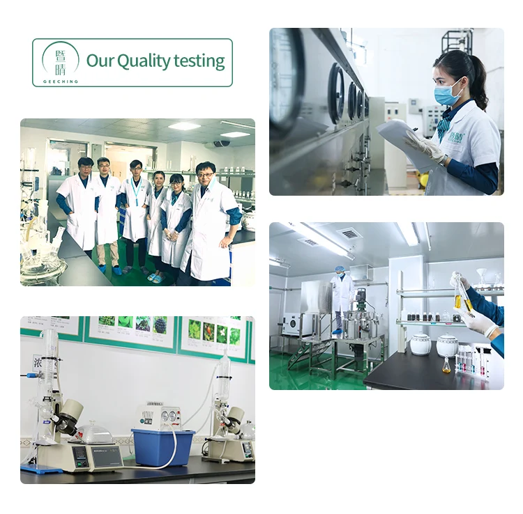 
Hot Sale Pure Therapeutic Grade Body Skin Care Massage Rose Extracts 30ml Essential Oil 