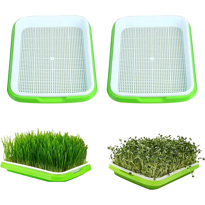 Plastic lid bean sprout trays nursery seeding seed sprouting tray Microgreen