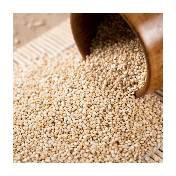 Zhangjiakou wholesale white quinoa grain lowest price