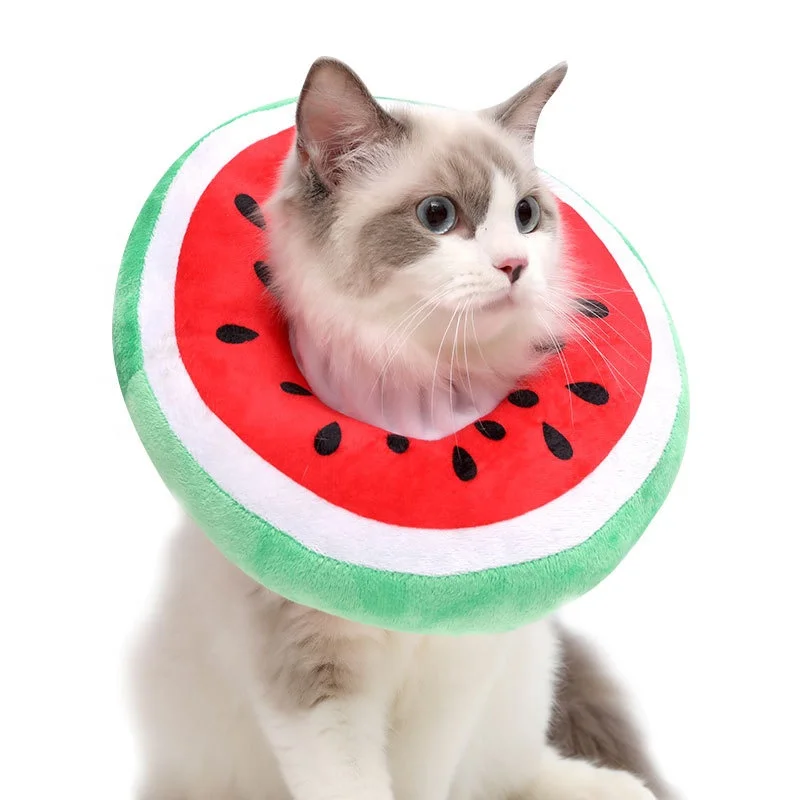 Cat collar Cat fruit head pet shame ring lick-bite resistant spayed and neutered pet products