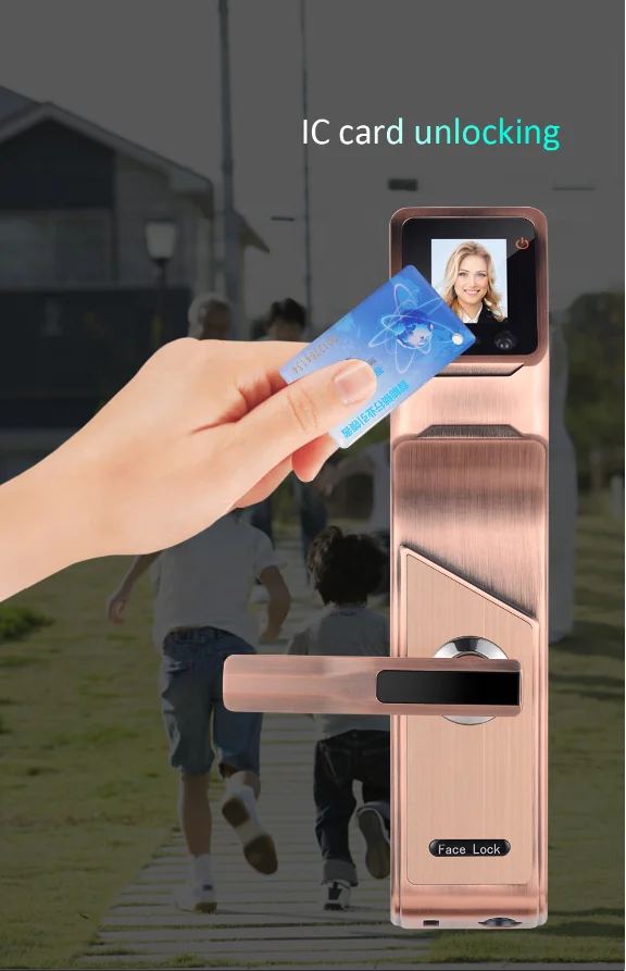 
Profession Zink Alloy fingerprint locking mailboxes Face recognitio smart lock door outdoor 