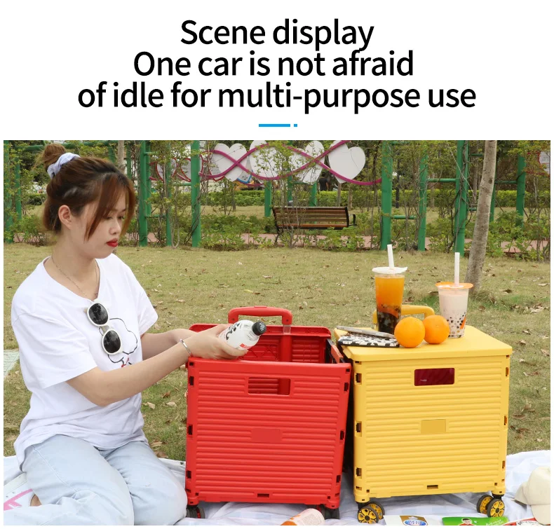 BAOYU Carritos De Supermercado Carrito De Compras Grocery  Picnic Shopping Cart Shopping Trolley