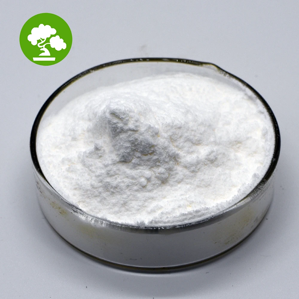 High Quality Freeze Dried Coconut Fruit Powder Bulk Coconut Water Powder