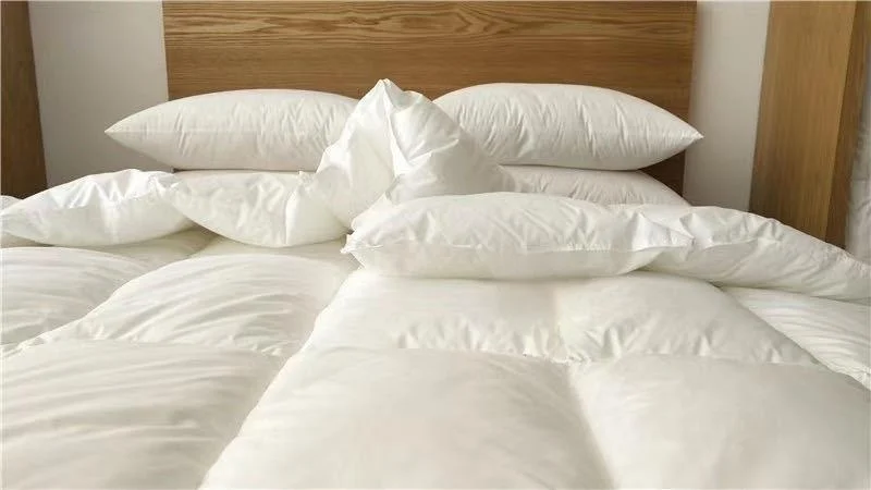 ive Star Hotel Quilt Core Factory Direct Sale 100% Cotton Microfiber Filling Velvet Quilt Excellent Duvets & Comforts