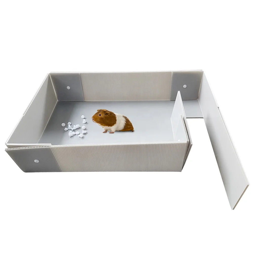 Custom Folding Pet Products Corrugated Coroplast Guinea Pig Pet House