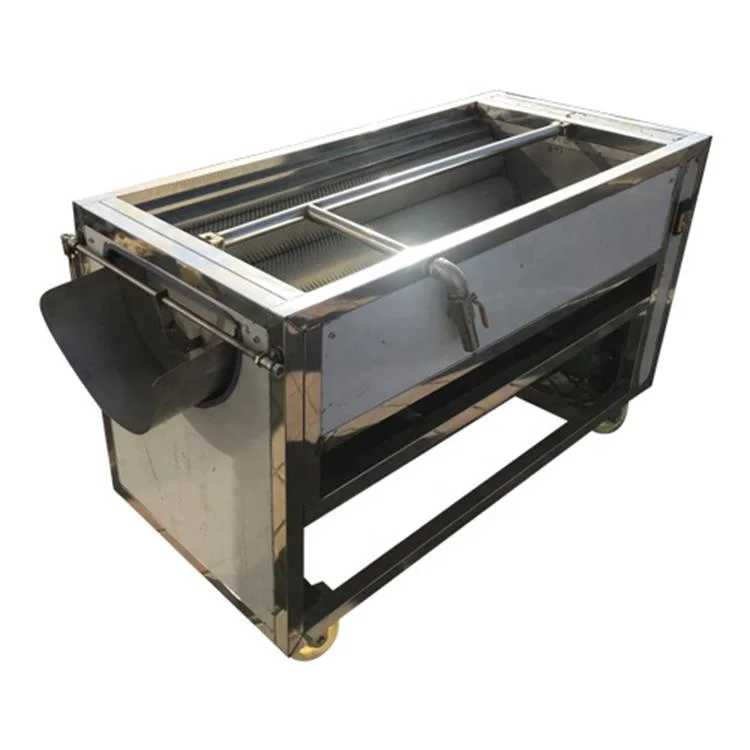 Automatic potato ginger brush washing peeling cleaning machine