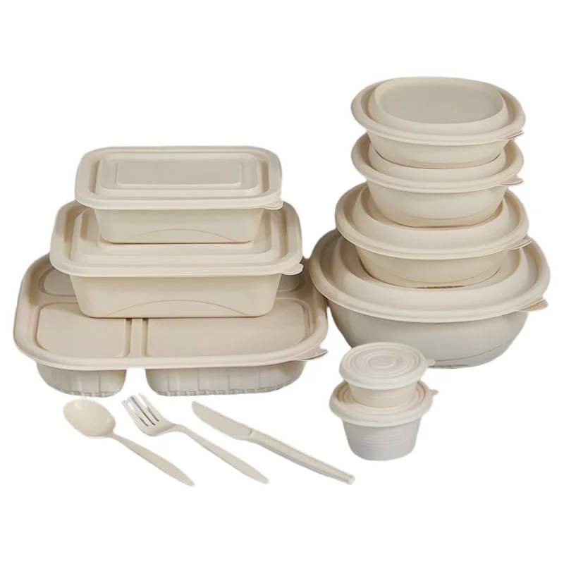 Biodegradable Corn Starch Disposable Lunch Box Takeaway Food Packaging Container for Sushi Baby Food to Go Meals