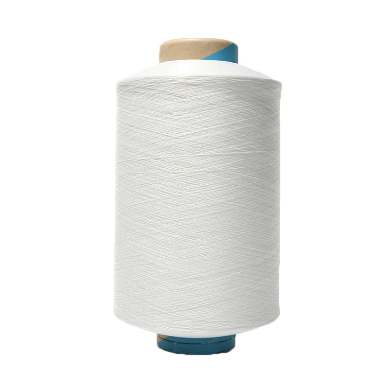 SALUD STYLE Nylon Yarn 70/2 2 Ply 70 Denier Hand-Knitting-Nylon-Yarn High Tenacity high stretch Nylon 66 Yarn Prices