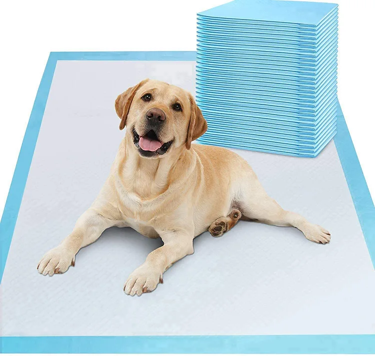 2021 Hot Selling Disposable Waterproof Quick-Drying Super Absorbent Cheap Pet Puppy Pad Biodegradable Training Dog Pee
