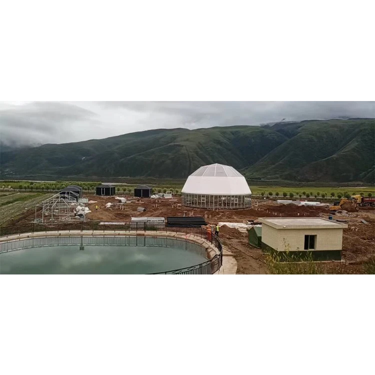 Custom material 20m big  glass dome house geodesic dome tent for sale