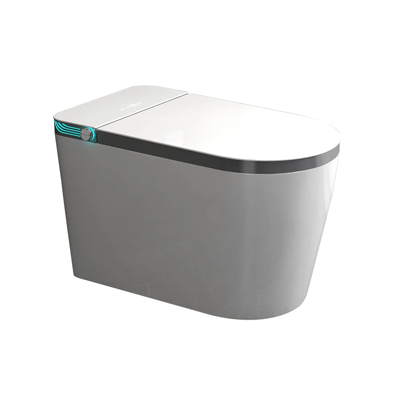 New Arrival Buttocks Washing toilet smart