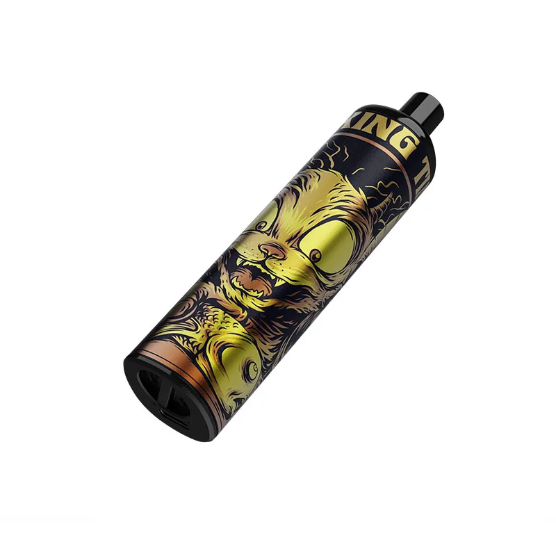 2021 e cigarette factory direct sale 5000 Puffs 10ml disposable pod vape pen