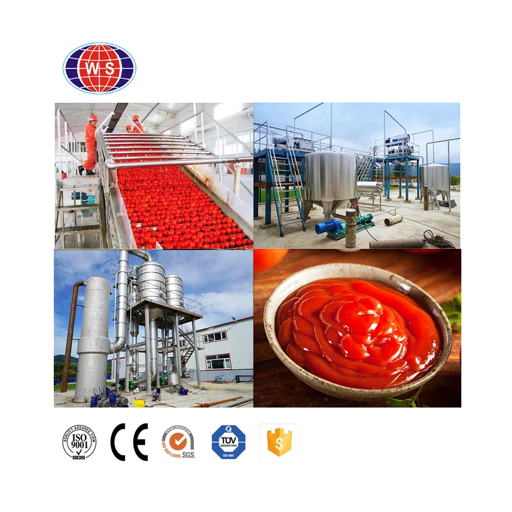 Hot Sale 300kg Output Tomato Ketchup Making Machine Tomatoes Paste Making Machine Automatic