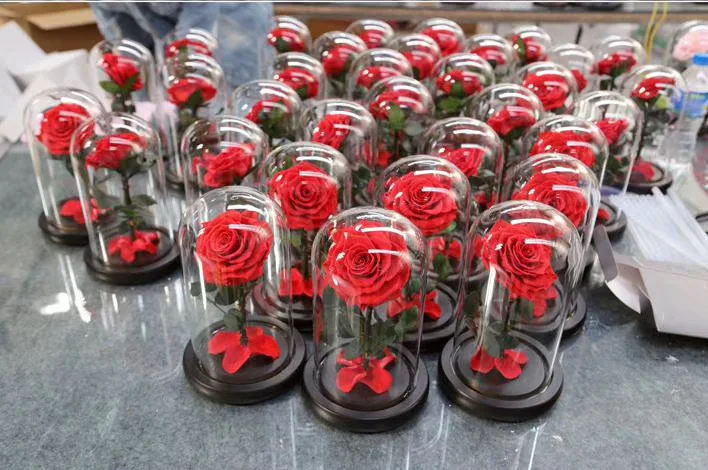 Grade A Last 5 Yeas Love rose Flora Best Quality Forever Preserved Eternal Rose in glass