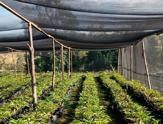 Shade Fabric Sun Shade Netting Privacy Screen with Reinforced Grommets for Greenhouse, Patio, Privacy Screening, Wind Break,