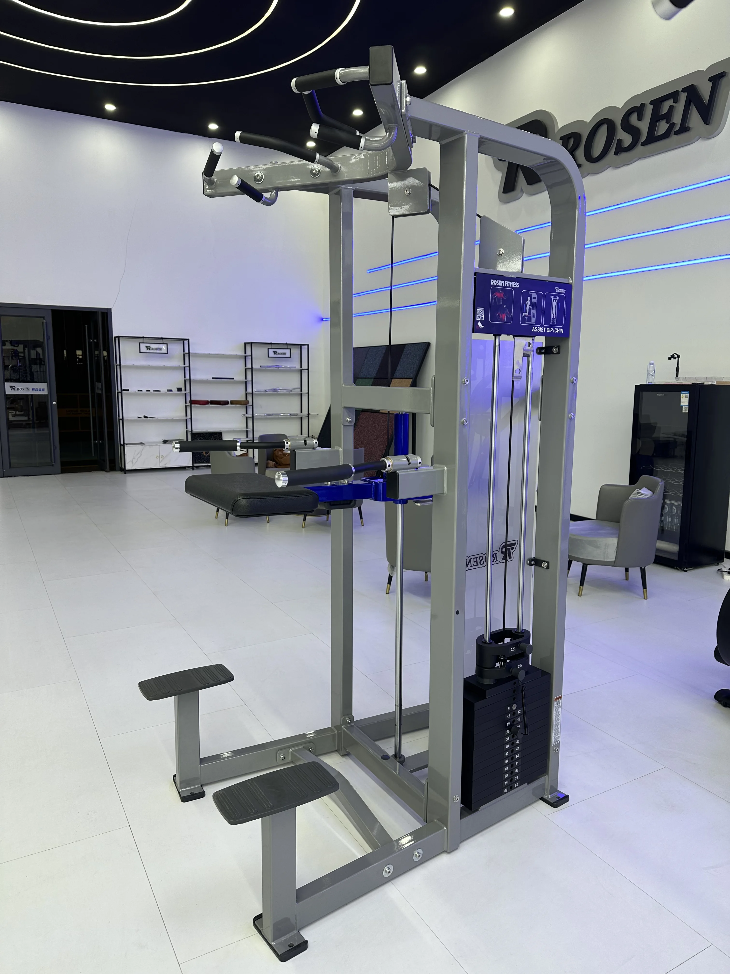 Matrix Exercise Equipment Rosen Fitness Pin Load Selection Machines Assist Dip/Chin for Bodybuilding