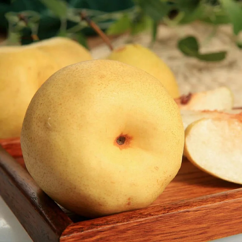 Liyuan exports a large number of fresh tribute pears, high quality and low price