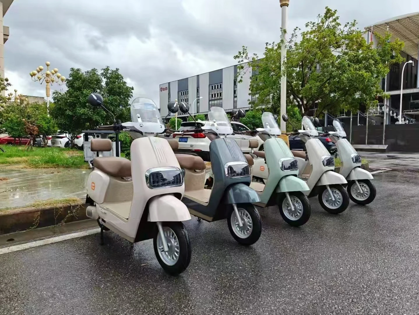 Cheap Electric Motorcycle Adult Electric Scooter for Sell  800w 1000w 48v  the Best Electric Mobility for Adults