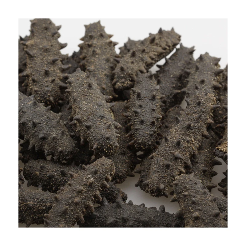 For Herbs Drug or Medicine Pharmacy Large Wild Organic Dried Sea Cucumber
