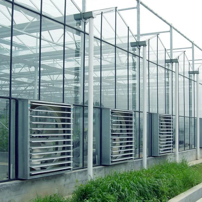China Venlo Agriculture Multi Span Hydroponic Glass Greenhouse for Vegetables/Flowers/Tomato/Farm/Garden