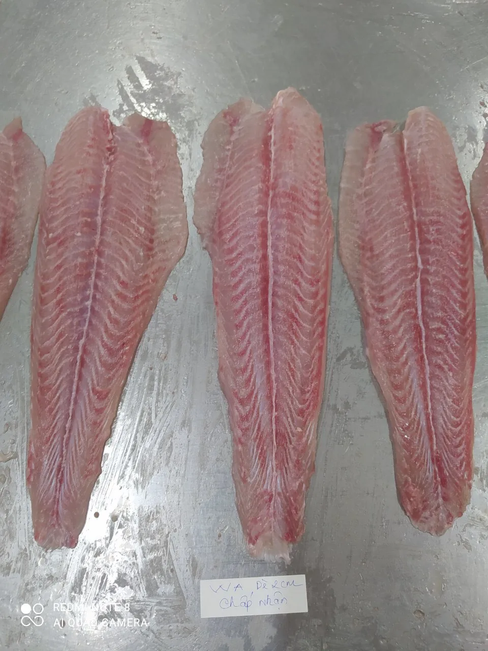 Best Seafood Pangasius/ Basa fish fillet, Untreated VietNam Product