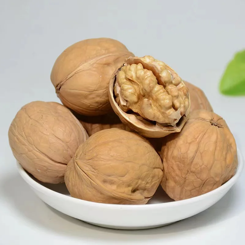 Walnuts Best Seller Manufacturer Wholesale Premium Organic Walnuts in shell Turkey walnut kernel for sale