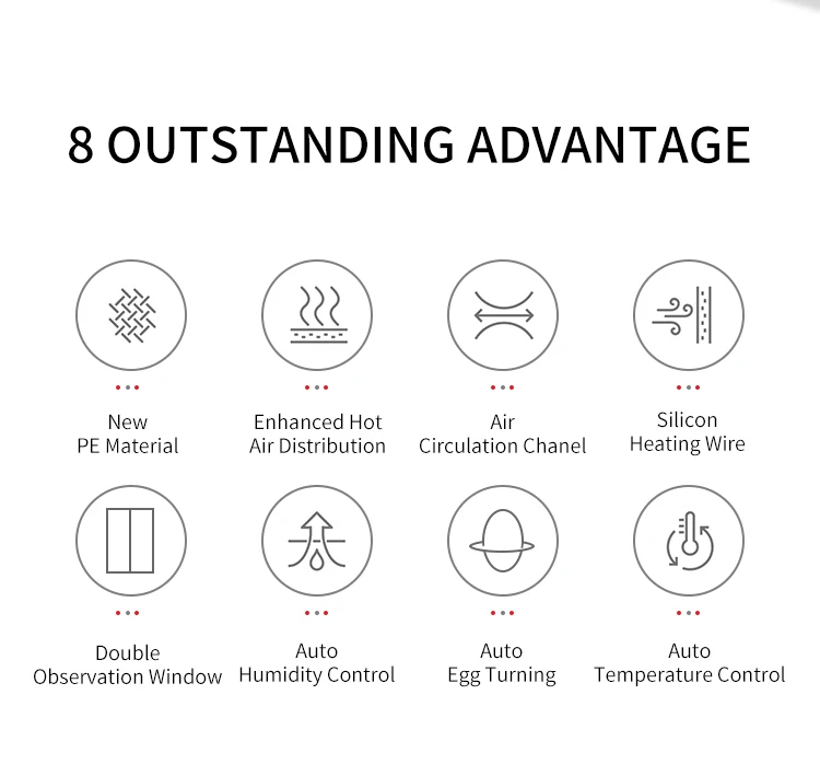 Solar industrial incubators hatching eggs chicken fully automatic 1000 egg